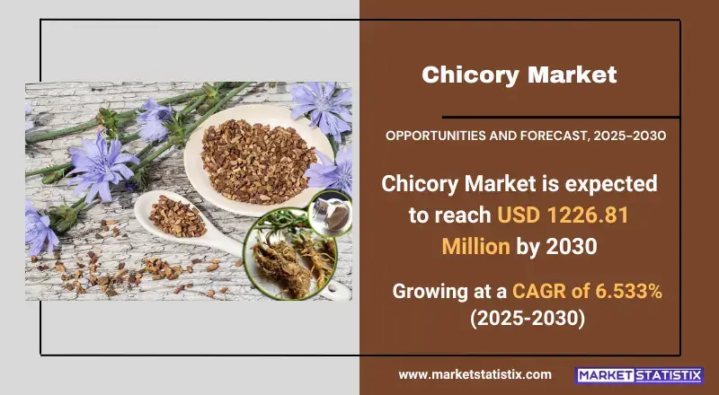 Chicory Market Industry Dynamics, Size, And Opportunity Forecast