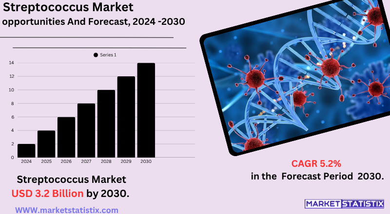 Microscopic view of Streptococcus bacteria relevant to diagnostics and treatment market