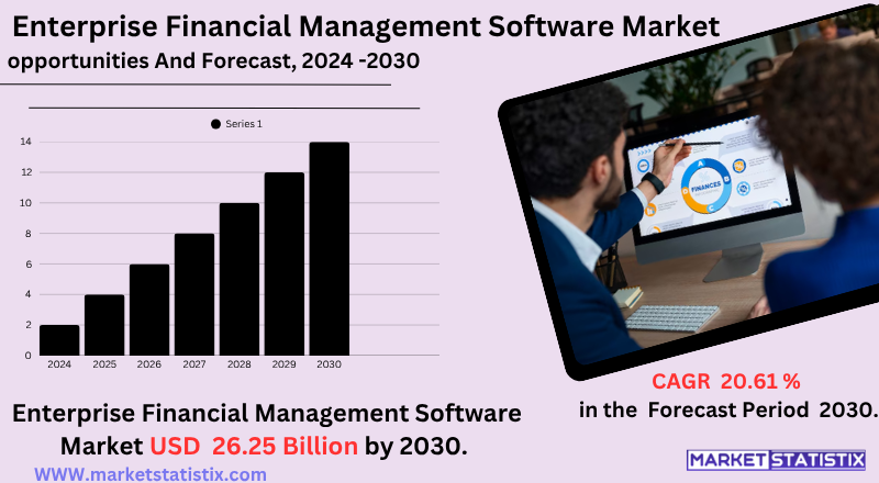 Enterprise Financial Management Software Market Overview, Trends, Growth Drivers, and Key Players Analysis
